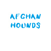Afghan Hound Afghanischer Windhund