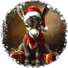 Âne de Noël