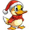 Canards de Noël