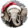 Noël des éléphants