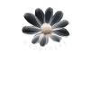 Glücksblume Happiness Flower