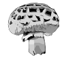 Gray Champion