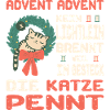 Advent season with cat