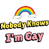 Nobody Knows I'm Gay