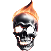 Skull on fire