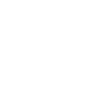 we the people