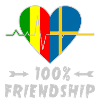 Mali and Sweden 100% friendship