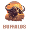 Buffalos Buffalo Büffel