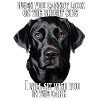 Black Labrador Quote
