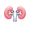 Nierenspender Niere Organspender