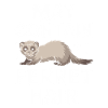 Ferret Owner, Ferret Lover, Sweets