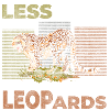 Prédateur Animaux Gros Chat Danger