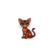 Jésus et mes Abyssins