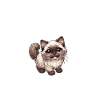 Jesus and my Burma