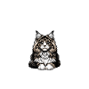 Jesus and My Maine Coon
