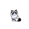 Jesus and my Ragdoll