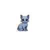 Jesus and My Russian Blue