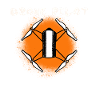 Drone - Drone Pilot