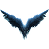 fly fly fly