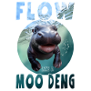 Funny Moo Deng flow