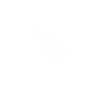 Têtard