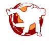 judo