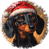 Dachshund Christmas