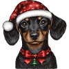 Santa Claus Dachshund