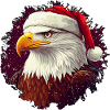 Aigle de Noël