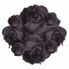 Dunkle Rosen Tropfen-Design