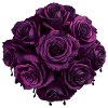 Purpurrose Bouquet Noir