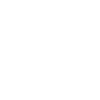 Student 2010