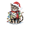 Chat de Noël