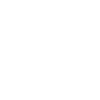 we the people