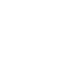 Édition limitée Est. 1985