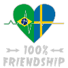 Brazil and Sweden 100% friendship