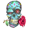 Skull & rose