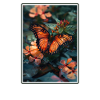Butterfly Butterflies Butterfly