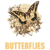 Butterfly Butterflies Butterfly