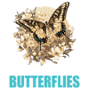 Butterfly Butterflies Butterfly