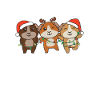 Pyjama de Noël Cochon d’Inde
