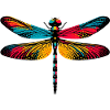 Libellule