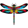 Libellule