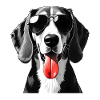 Beagle, Hund, Djur, Motiv, Roliga Hundar