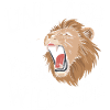 Lion Lion Animal Africa