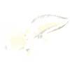 Illustration d’axolotl cosmique