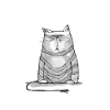Dicker Kater