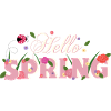 hello spring