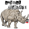 Animal Rights // Rhino