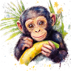 Of chimpanzees and humans